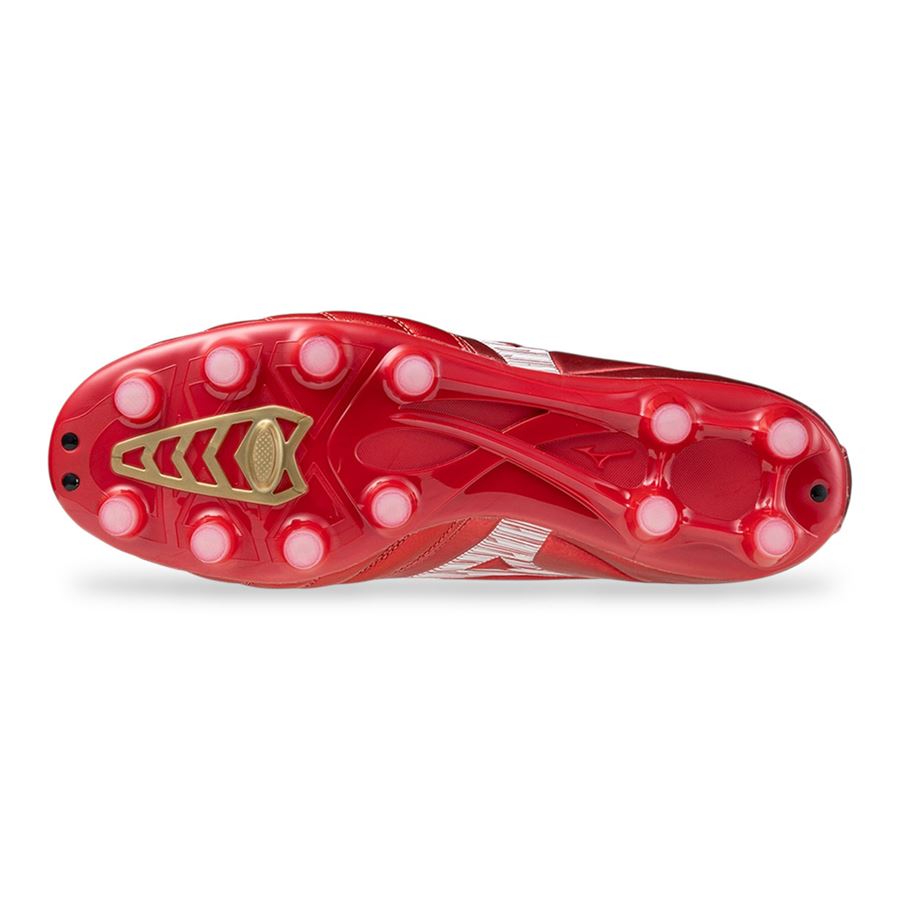  Mizuno | P1GA256460