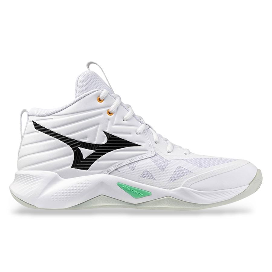  Mizuno | V1GA254521
