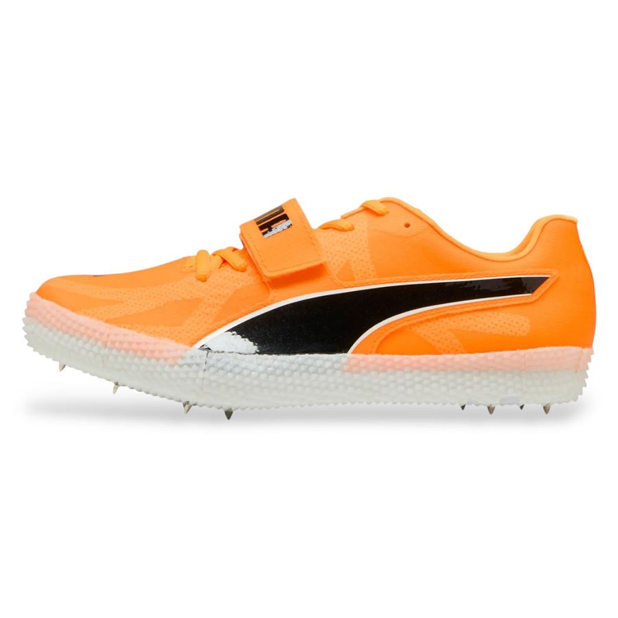  Puma | 31142401