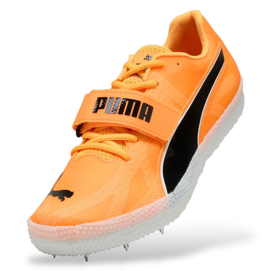  Puma | 31142401