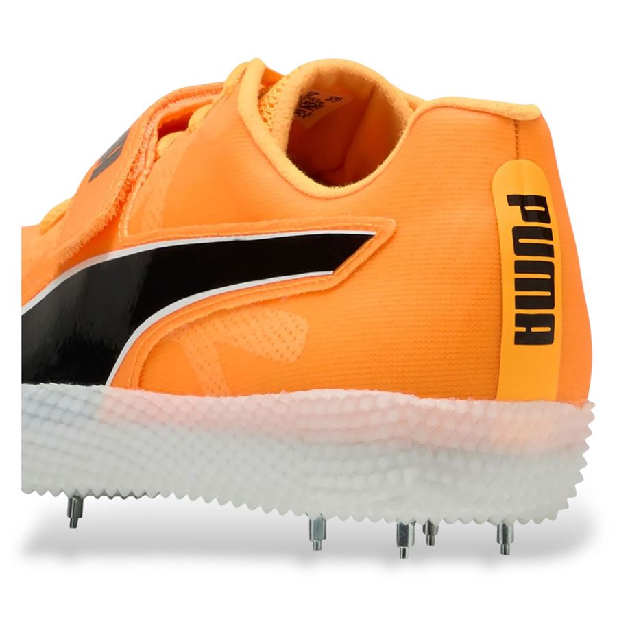  Puma | 31142401