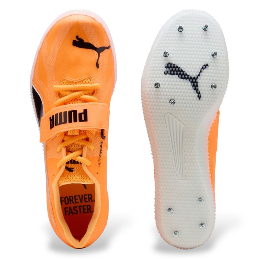  Puma | 31142401