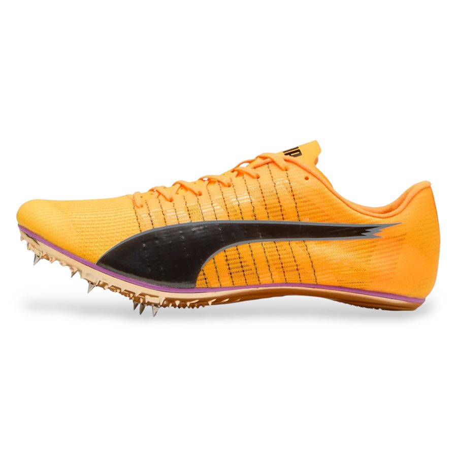  Puma | 31198401