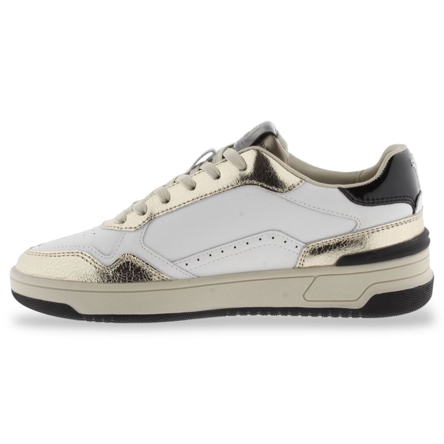  Victoria | 8800121ORO