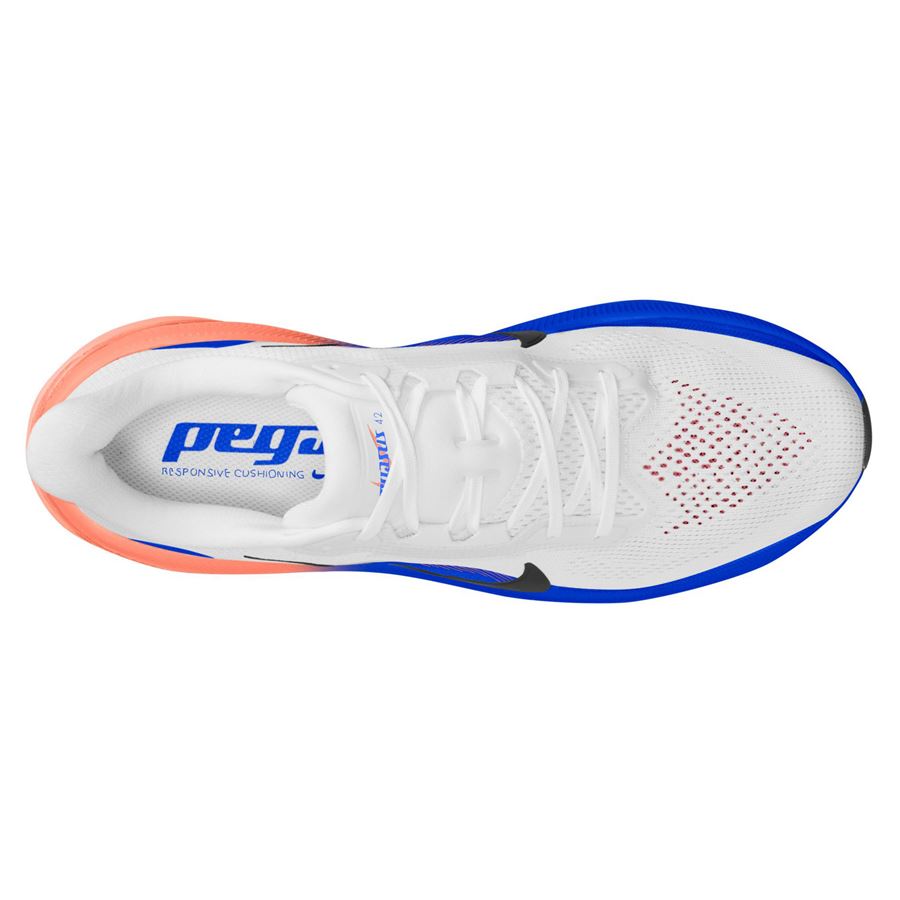 Pegasus 42 scarpe running da uomo Nike | IB1873105