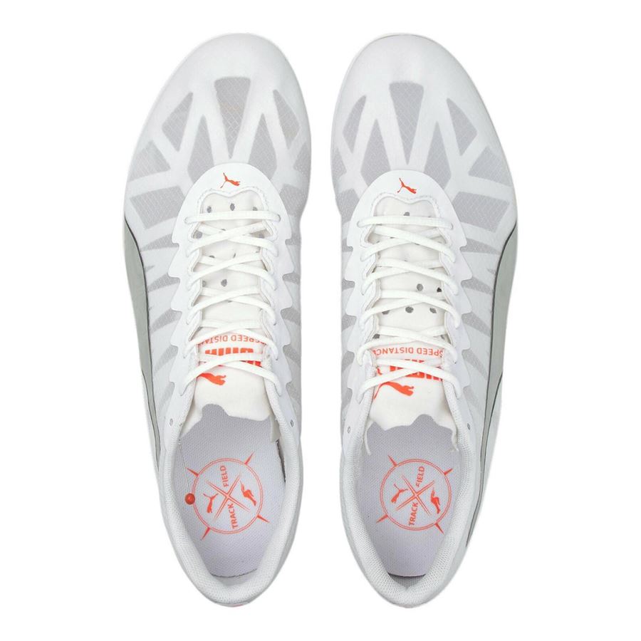 EVOSPEED DISTANCE 9 Puma | 19447601