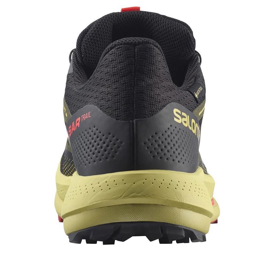 Pulsar Trail Gtx Scarpe da trail running Salomon | L41608100X