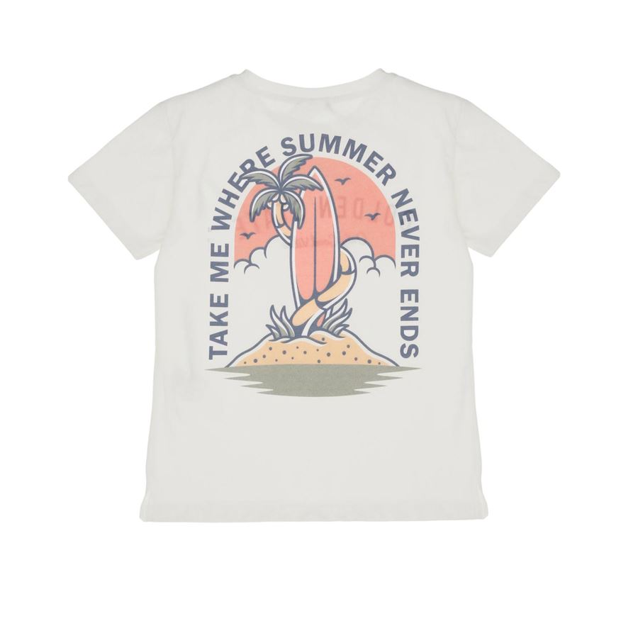 T-SHIRT M/M MONOCOLOR CON STAMPE Please | MB81030B483102