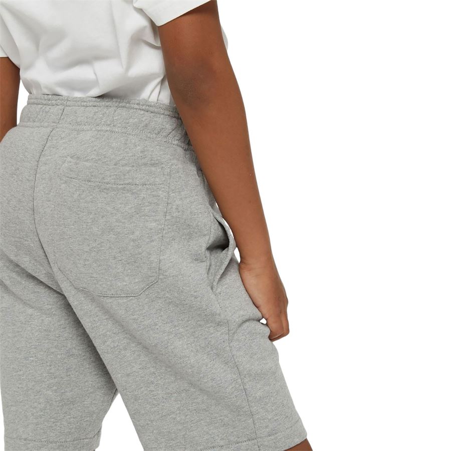 K mapleton short Dickies | DK0KRR330H2