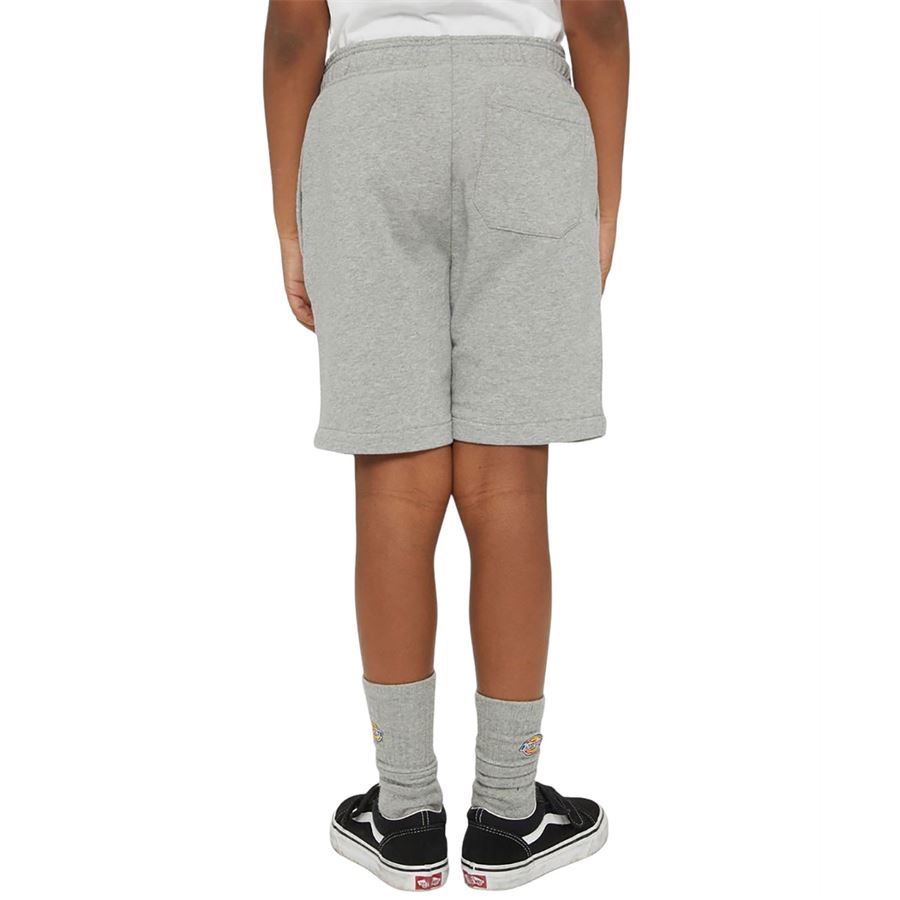 K mapleton short Dickies | DK0KRR330H2