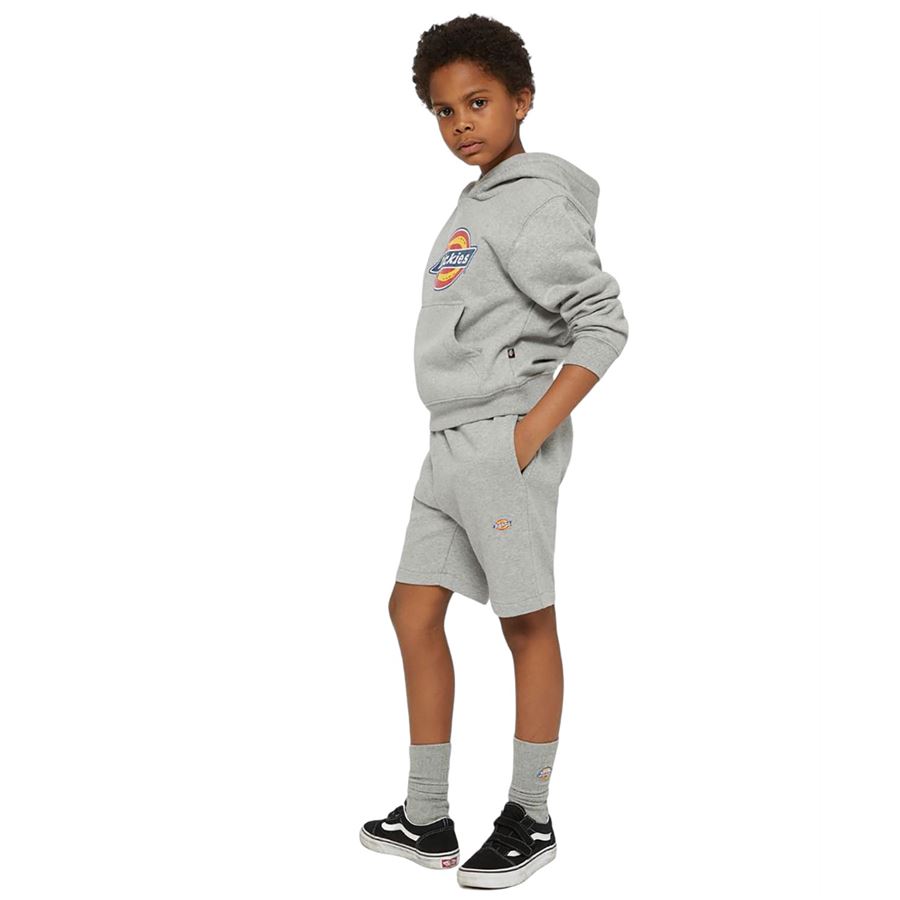K mapleton short Dickies | DK0KRR330H2