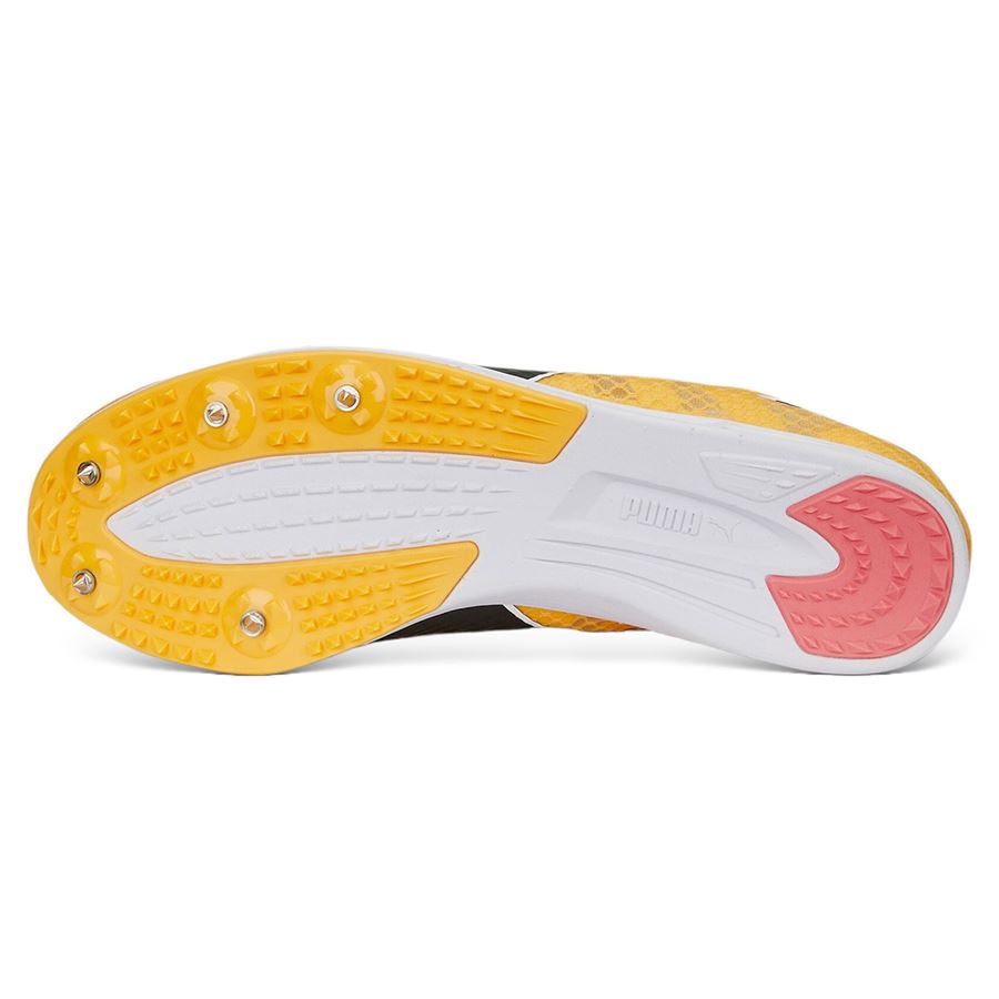 Evospeed Distance 11 scarpe chiodate atletica leggera per lunghe distanze Puma | 37796101