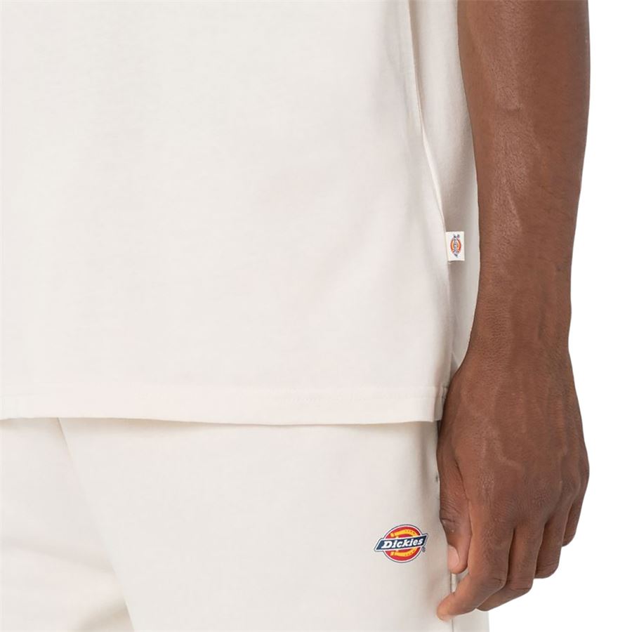 T-Shirt Mapleton A Maniche Corte da uomo Dickies | DK0A4XDBF90