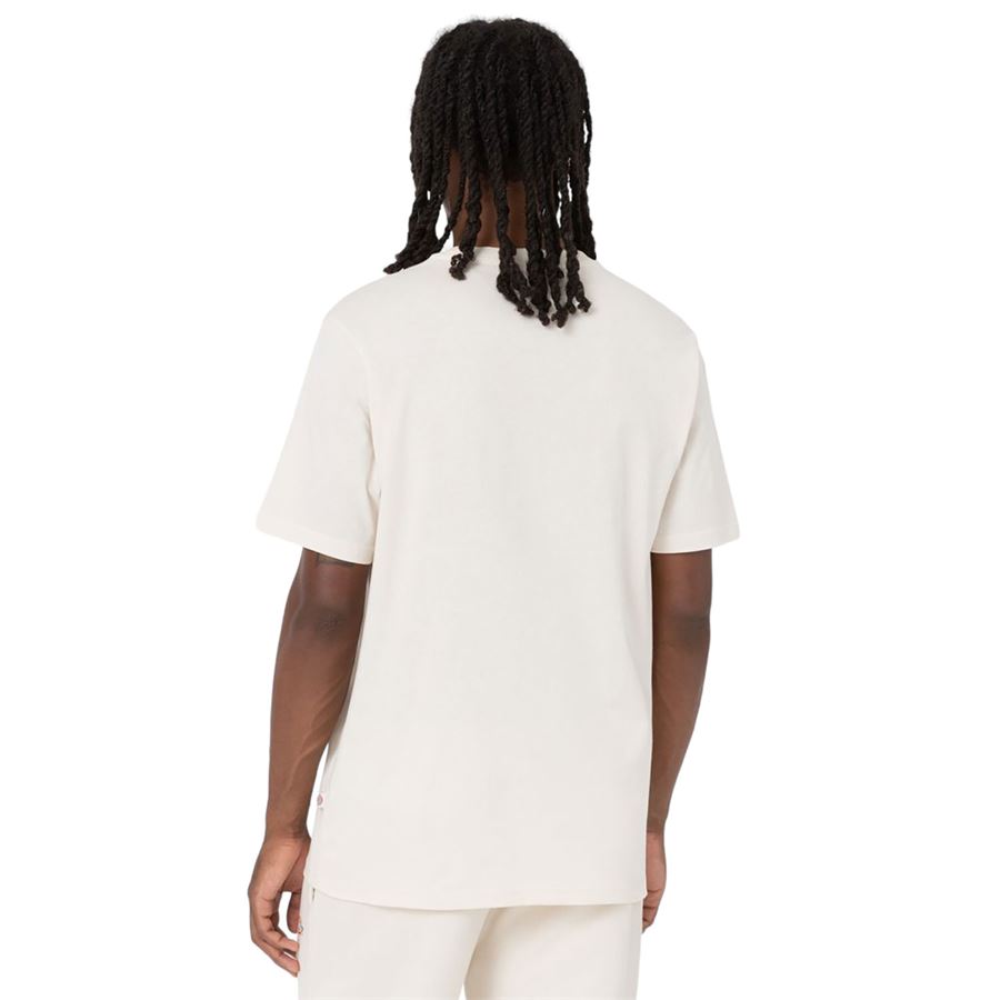 T-Shirt Mapleton A Maniche Corte da uomo Dickies | DK0A4XDBF90