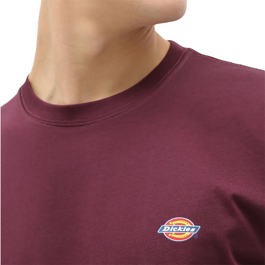 T-Shirt Mapleton A Maniche Corte da uomo Dickies | DK0A4XDBMR0