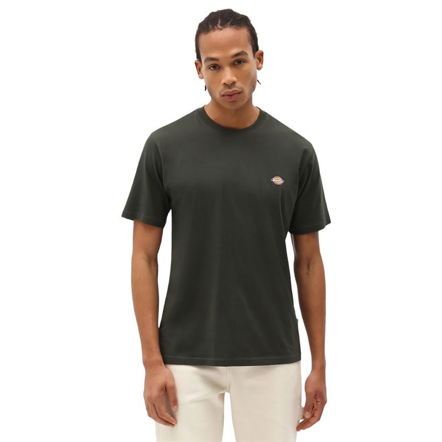 T-Shirt Mapleton A Maniche Corte da uomo Dickies | DK0A4XDBOGX