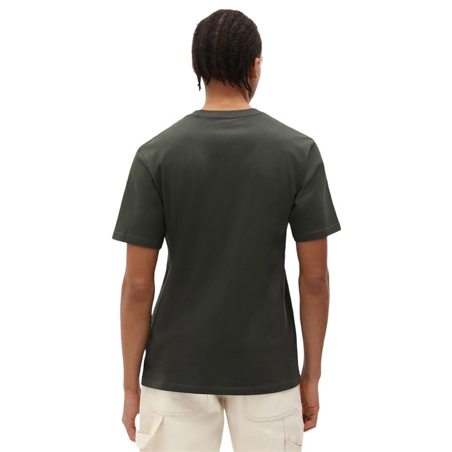 T-Shirt Mapleton A Maniche Corte da uomo Dickies | DK0A4XDBOGX