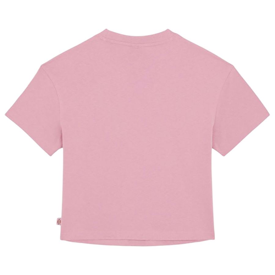 W Oakport Boxy ss t-shirt a maniche corte da donna Dickies | DK0A4Y8LK39