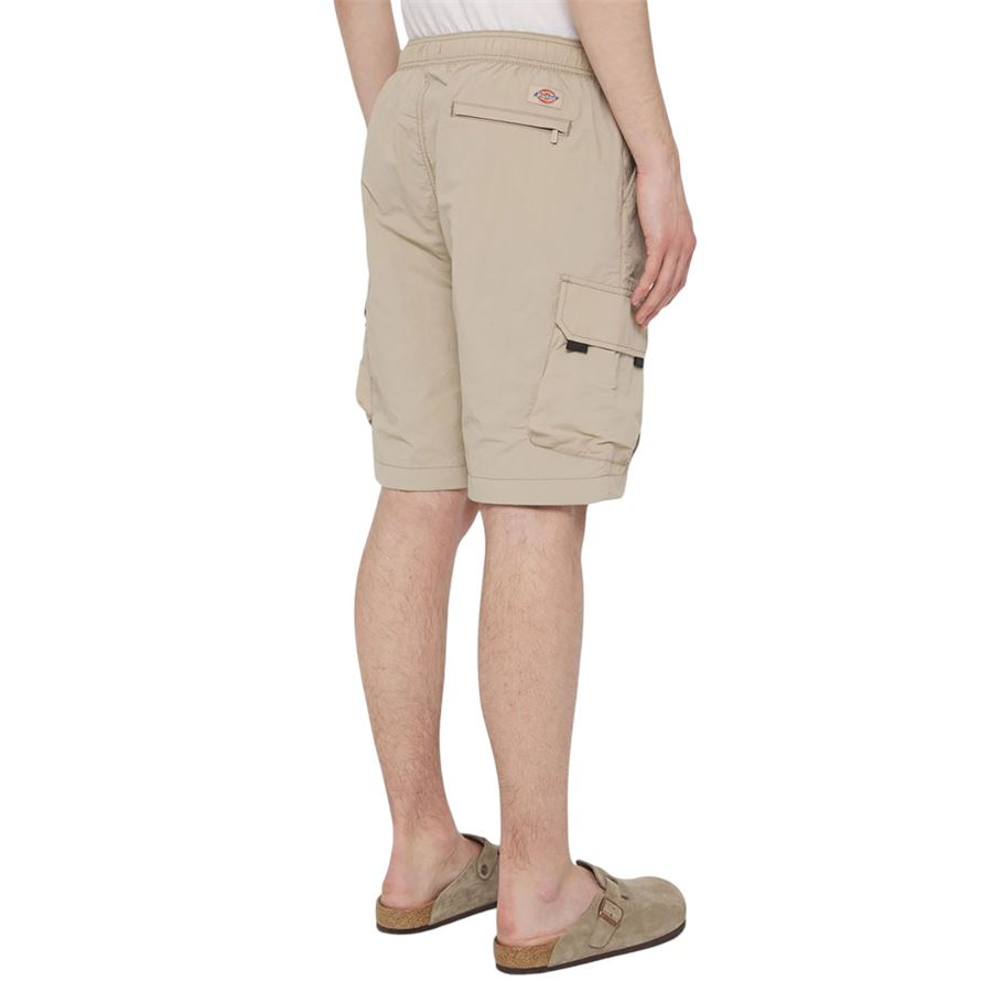 Jackson Cargo shorts da uomo Dickies | DK0A4YACSS0
