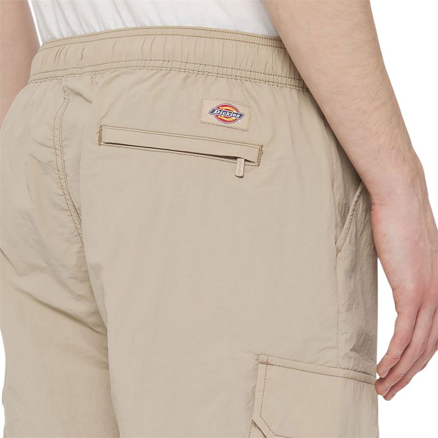 Jackson Cargo shorts da uomo Dickies | DK0A4YACSS0