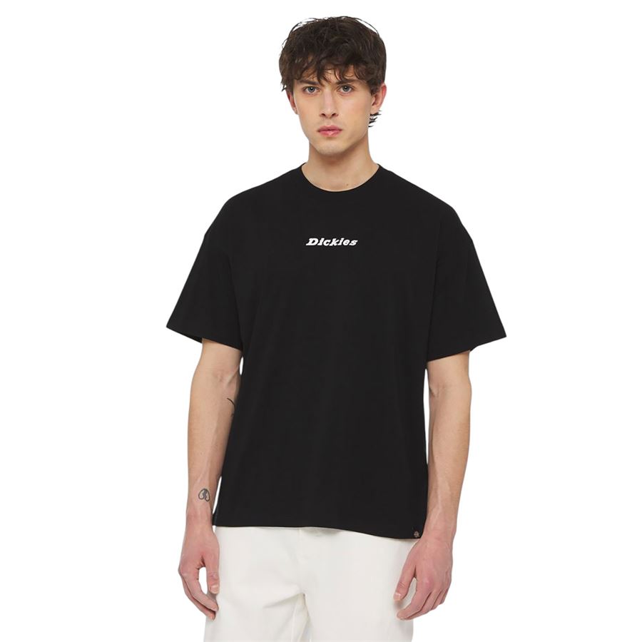 Enterprise t-shirt a manica corta da uomo Dickies | DK0A4YRNBLK