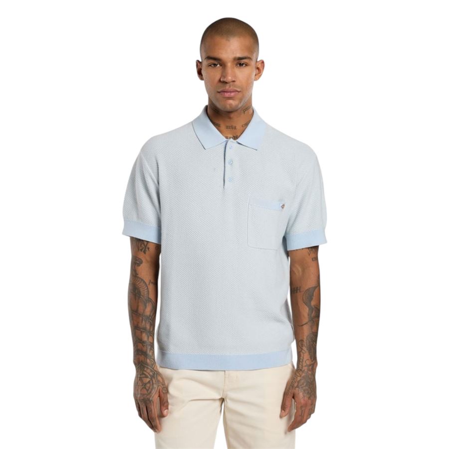 Rocky polo in maglia da uomo Dickies | DK0A4Z7AF90