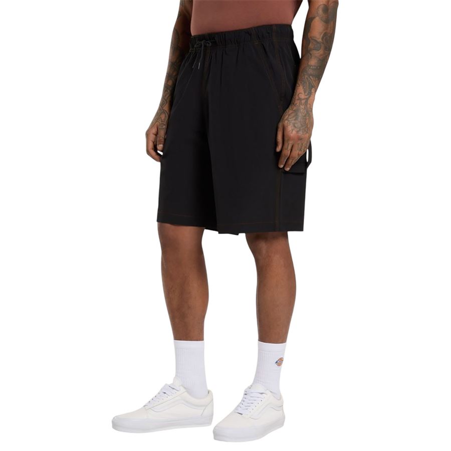 Wilsall Carpenter shorts da uomo Dickies | DK0A4Z7XBLK