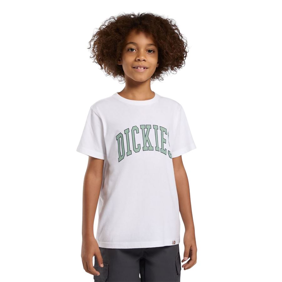Aitkin T-Shirt da bambini Dickies | DK0A4Z8O0WH