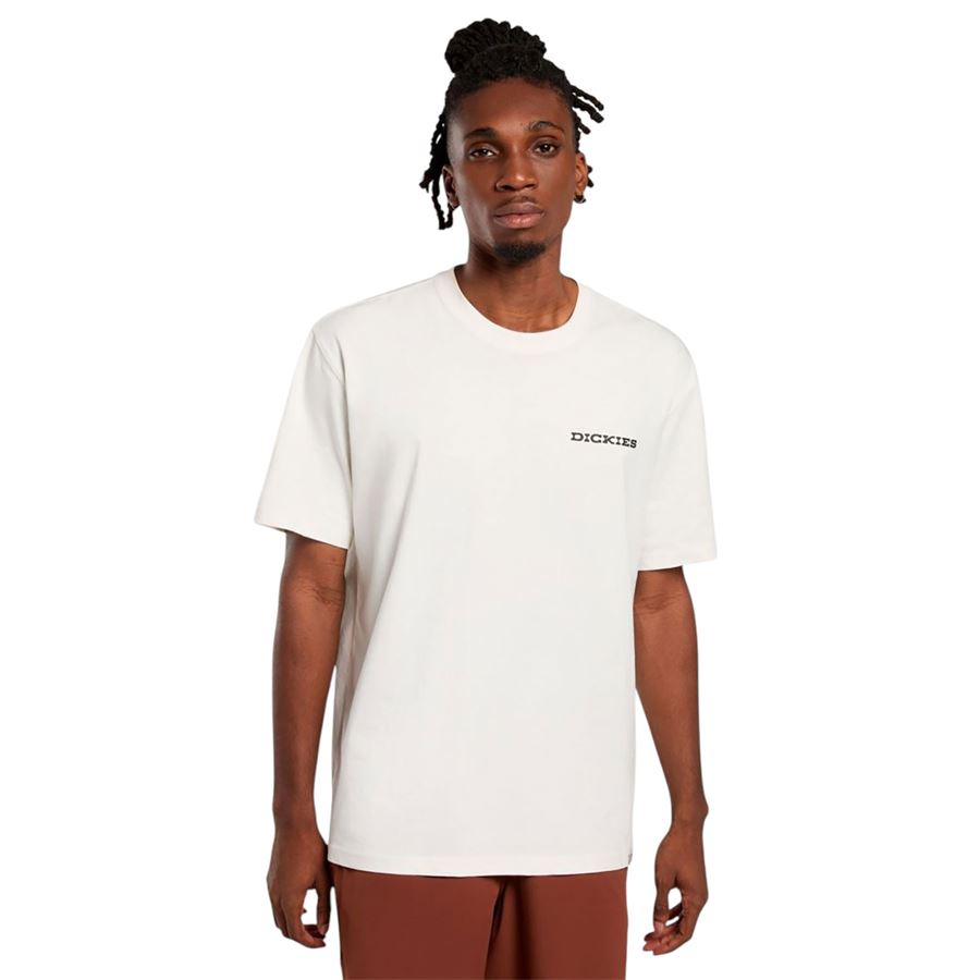 Landscape t-shirt a manica corta da uomo Dickies | DK0A4Z8VC48