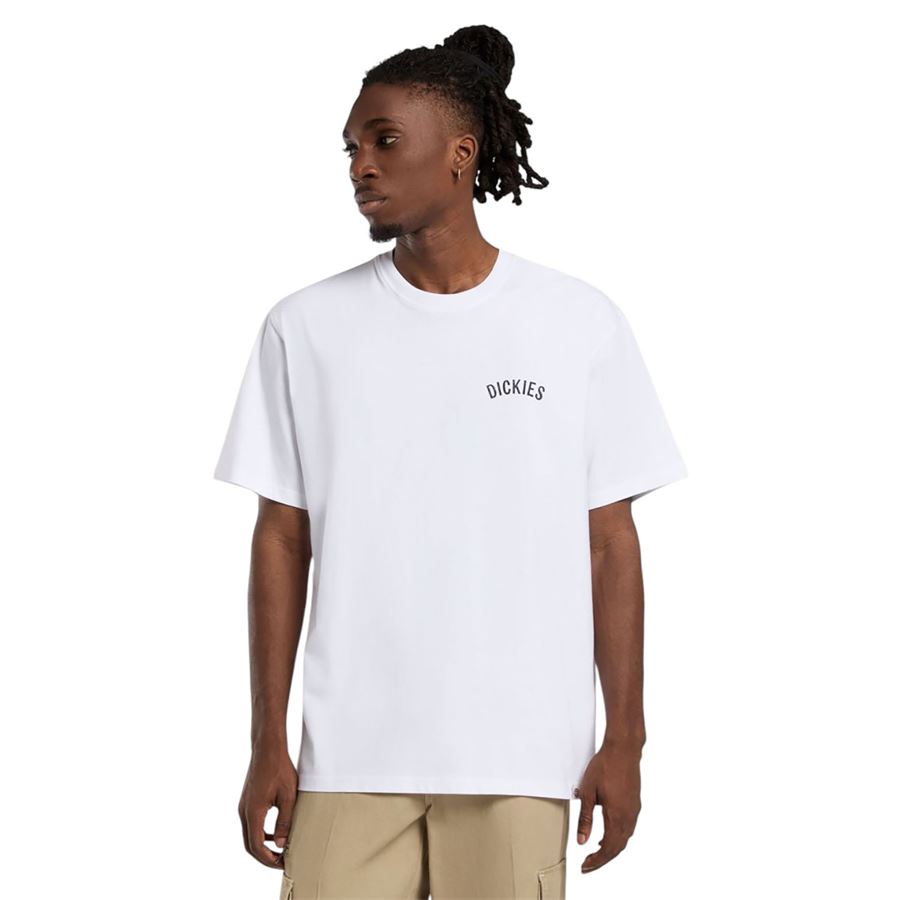 Dickies Snake t-shirt a manica corta da uomo Dickies | DK0A4Z990WH