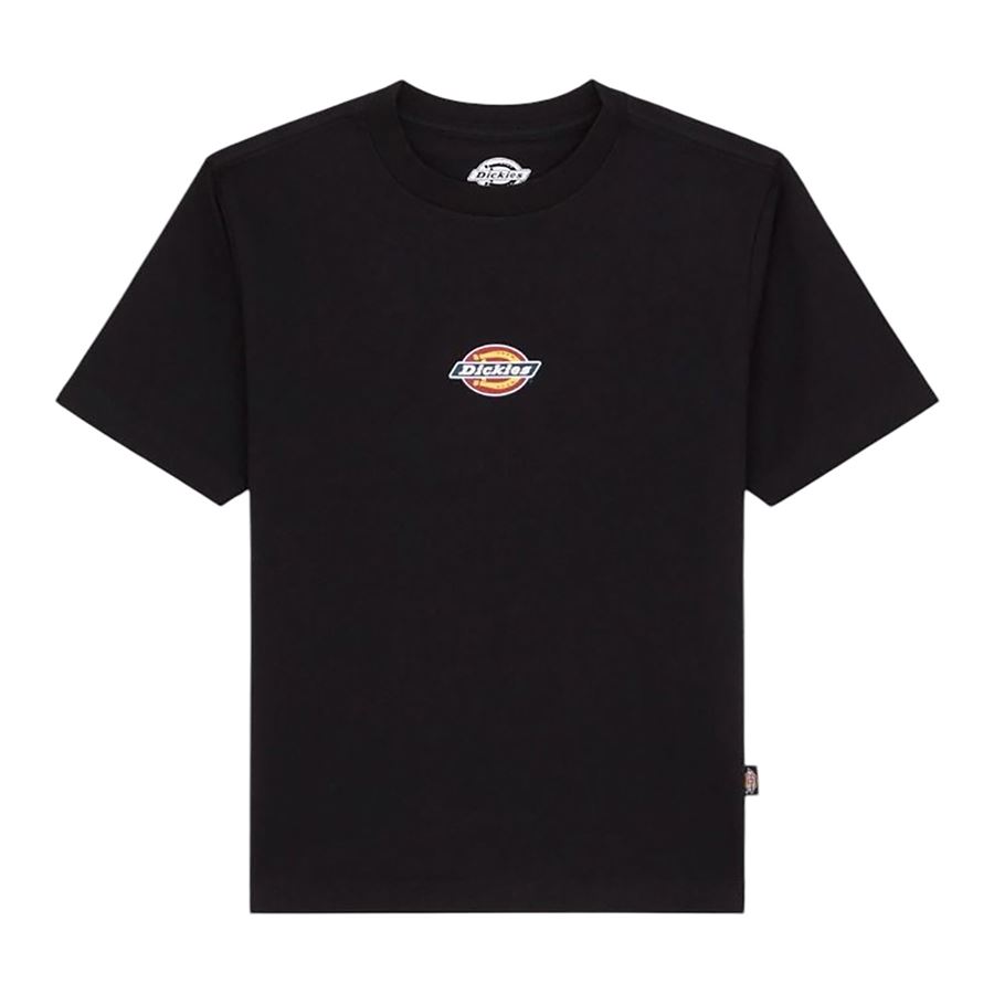Maple Valley Regular t-shirt a maniche corte da donna Dickies | DK0A4ZAOBLK