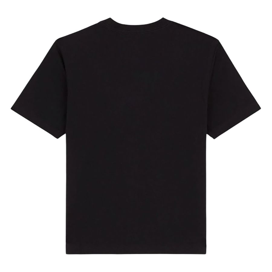 Maple Valley Regular t-shirt a maniche corte da donna Dickies | DK0A4ZAOBLK
