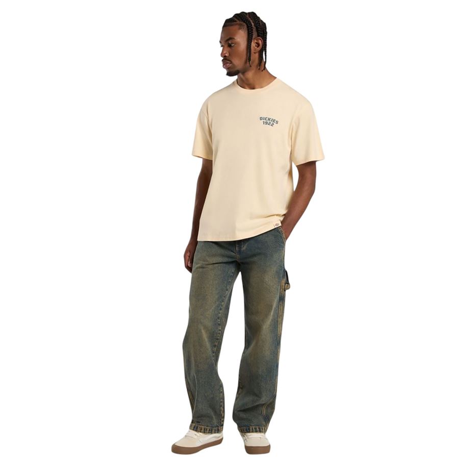 Stevensville Carpenter jeans da uomo Dickies | DK0A863TK58
