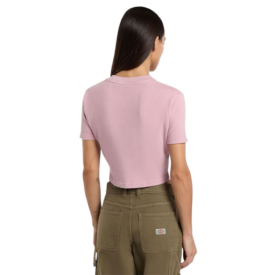 T-Shirt W Plentywood da donna Dickies | DK0A866FK39