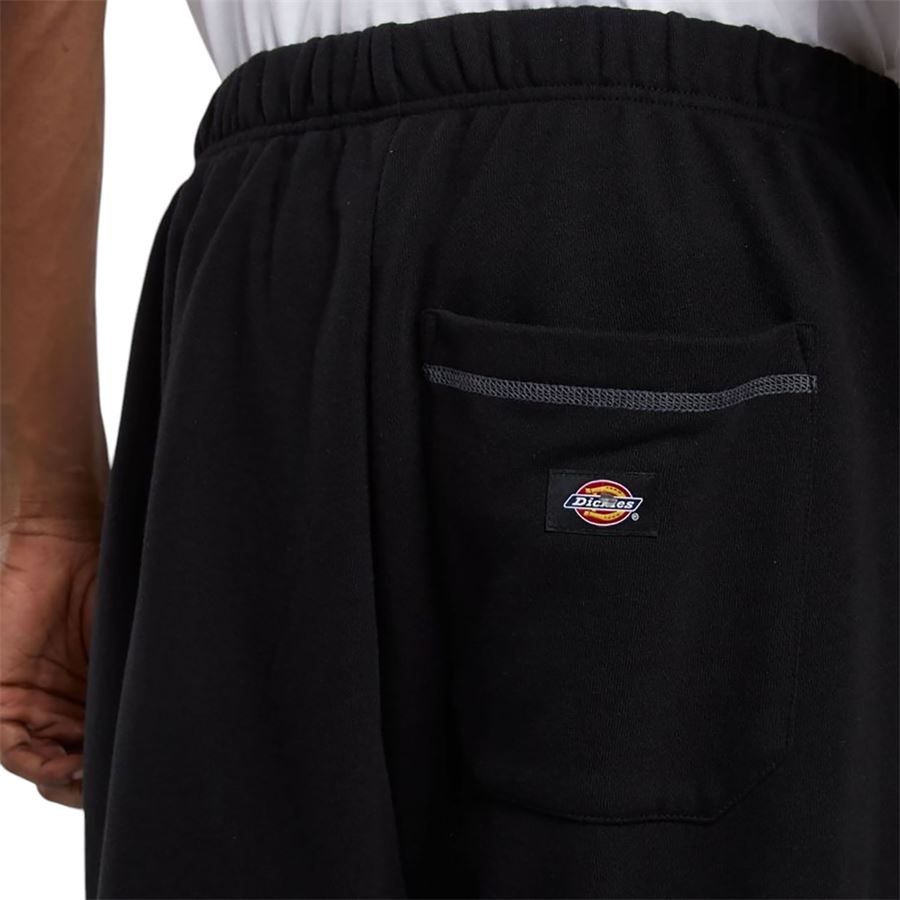 Roy pantaloni da tuta uomo Dickies | DK0A866TBLK