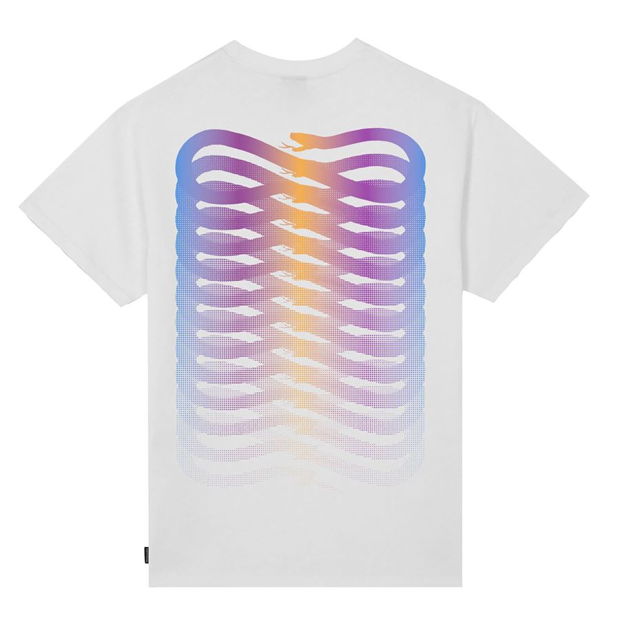 Ribs Gradient Tee t-shirt manica corta da uomo Propaganda | 25SSPRTS85802