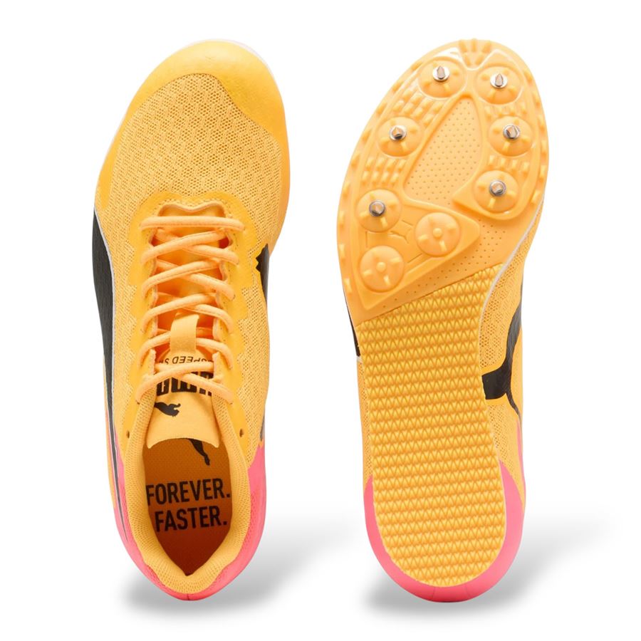 Evospeed Star 9 Junior scarpe da pista da bambini Puma | 31079601