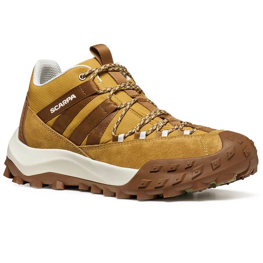 Rove scarpa da trail da uomo Scarpa | 327183509