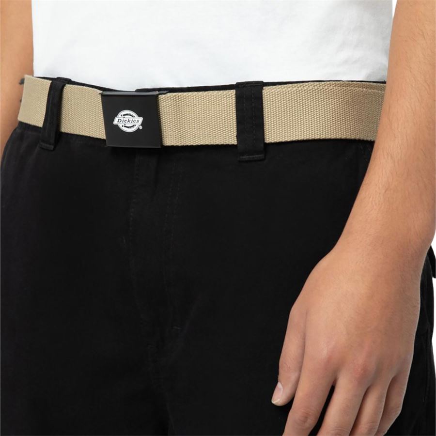 Cintura Orcutt Dickies | DK0A4X7EKHK