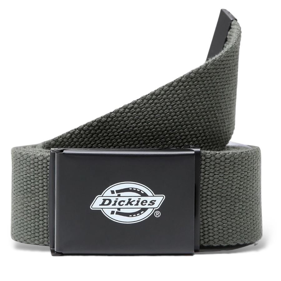 Cintura Orcutt Dickies | DK0A4X7EOGX