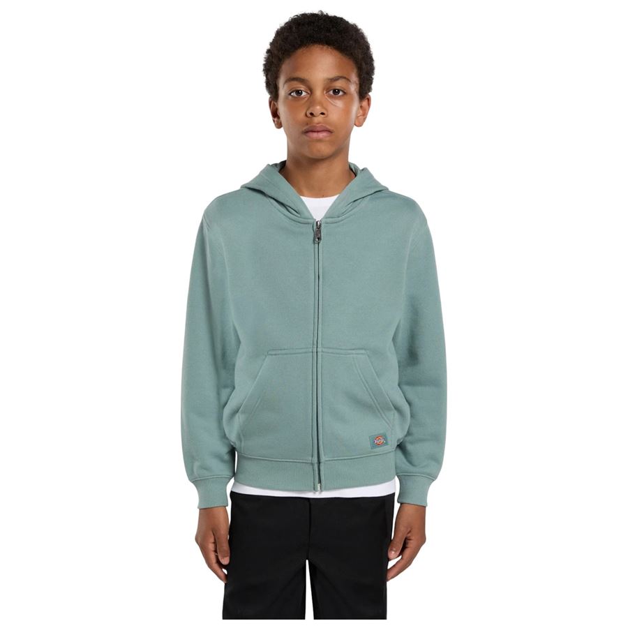  Dickies | DK0A4Z6WL37