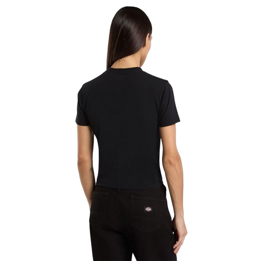 Maple Valley Regular t-shirt a maniche corte da donna Dickies | DK0A4ZAOBLK