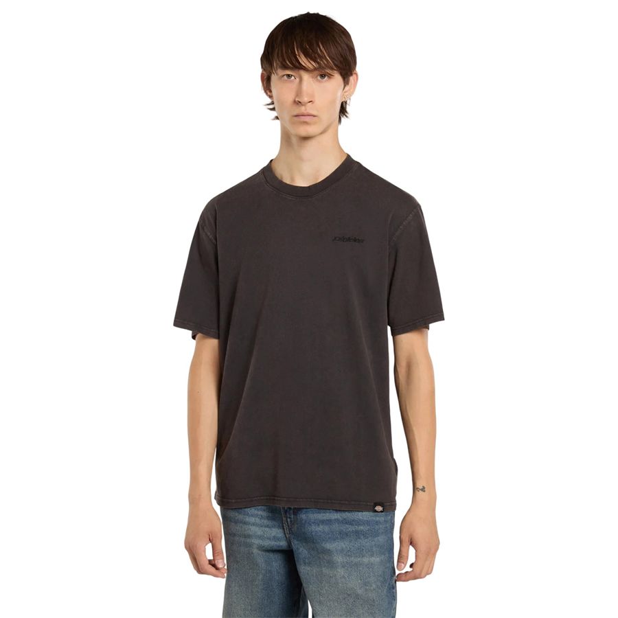  Dickies | DK0A866BH86