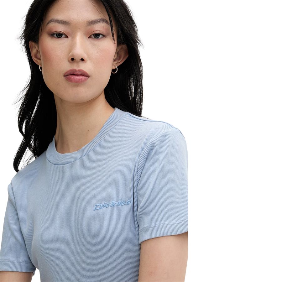 W Plentywood ss tee t-shirt crop a maniche corte da donna Dickies | DK0A866FL39