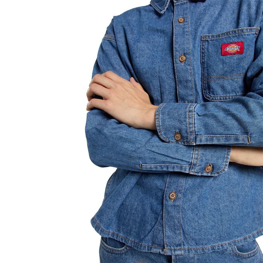  Dickies | DK0A8826CLB