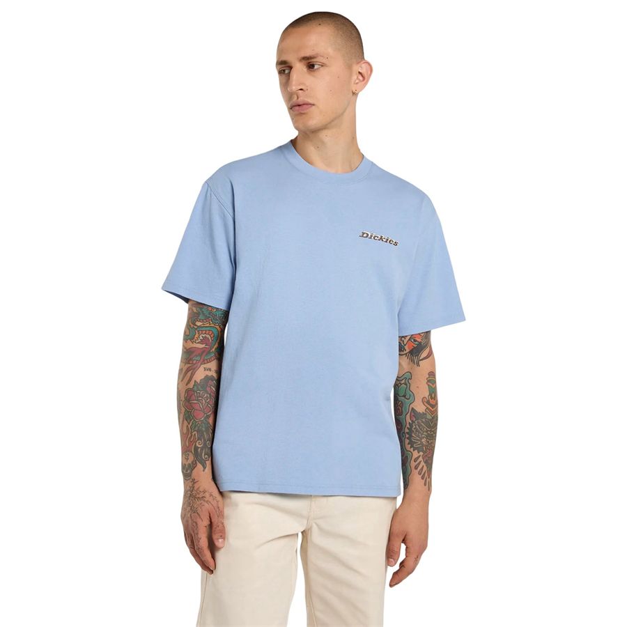  Dickies | DK0A8854L39
