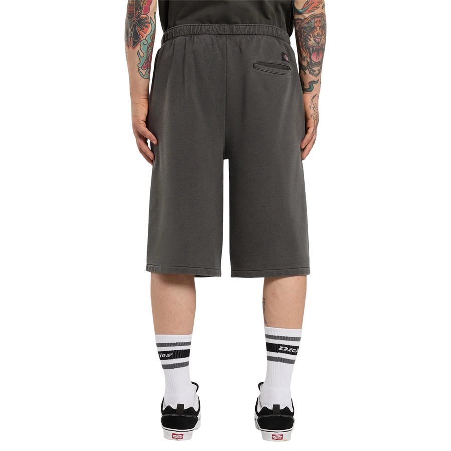  Dickies | DK0A885BBLK