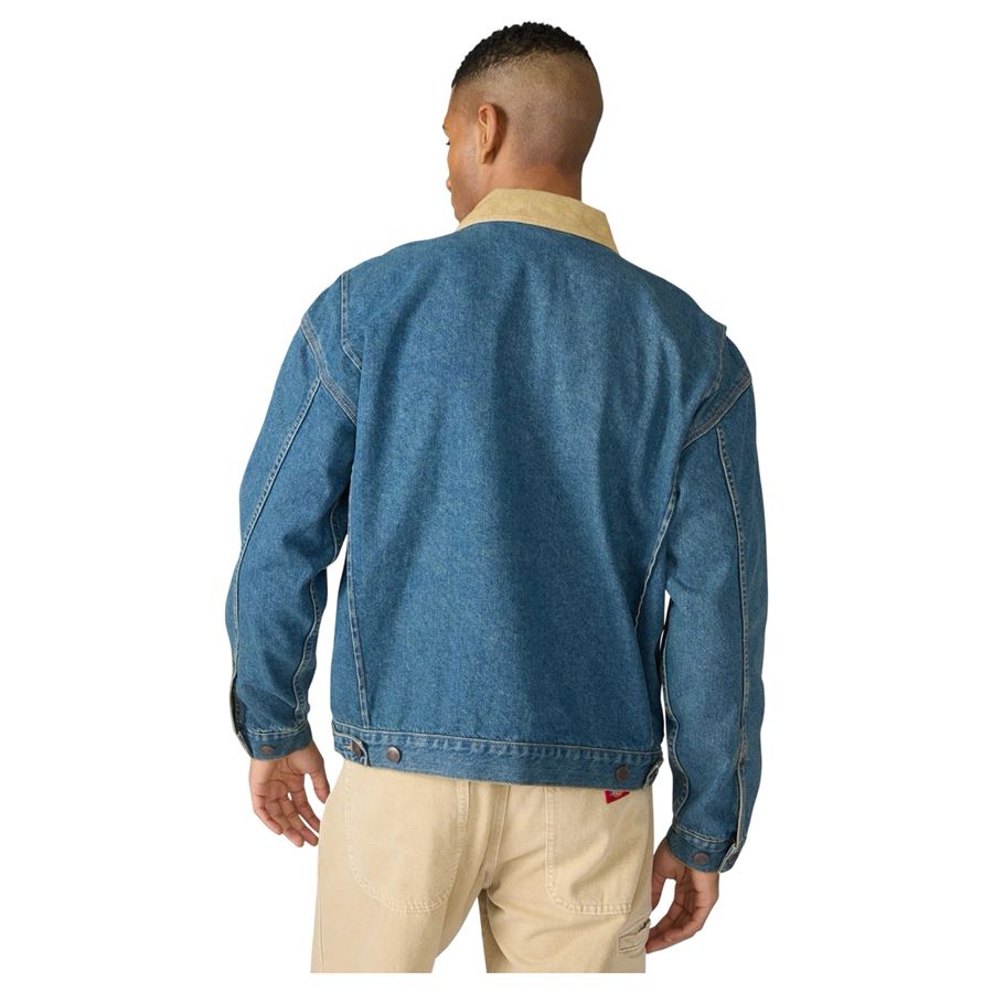  Dickies | DK0A88EGL23