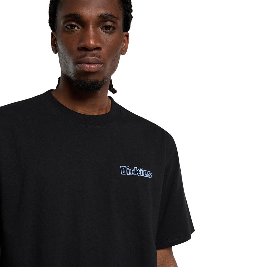  Dickies | DK0A88GEBLK
