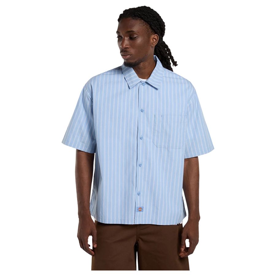  Dickies | DK0A88GUL39